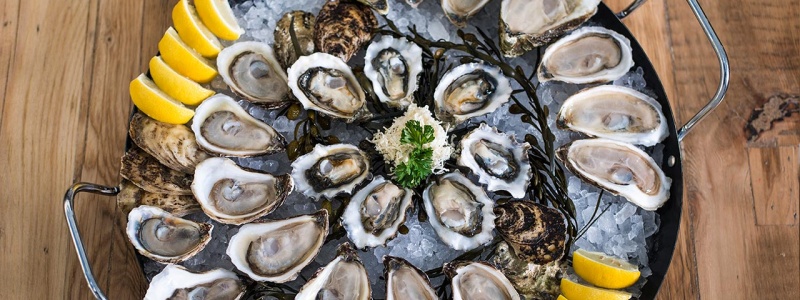 c_800_300_16777215_00_images_tours_food_menu-calgary-oysters.jpg
